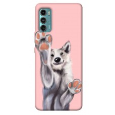 TPU чехол Demsky Cute dog для Motorola Moto G60