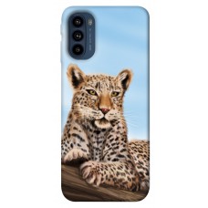 TPU чохол Demsky Proud leopard для Motorola Moto G41