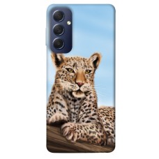 TPU чохол Demsky Proud leopard для Samsung Galaxy M54 5G