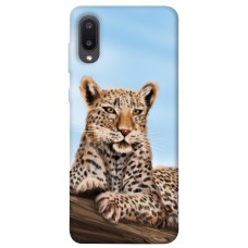 TPU чохол Demsky Proud leopard для Samsung Galaxy A02