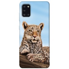 TPU чохол Demsky Proud leopard для Samsung Galaxy A31