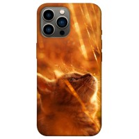 TPU чохол Demsky Magic cat