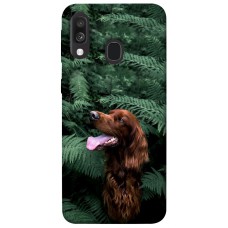 TPU чохол Demsky Собака в зелени для Samsung Galaxy A40 (A405F)