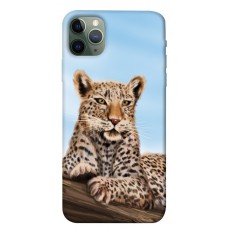 TPU чохол Demsky Proud leopard для Apple iPhone 11 Pro Max (6.5")