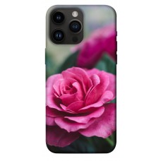 TPU чохол Demsky Роза в саду для Apple iPhone 14 Pro Max (6.7")