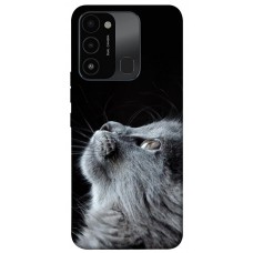 TPU чохол Demsky Cute cat для TECNO Spark 8C