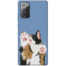 TPU чохол Demsky Funny cat для Samsung Galaxy Note 20