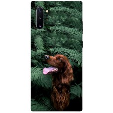 TPU чохол Demsky Собака в зелени для Samsung Galaxy Note 10 Plus