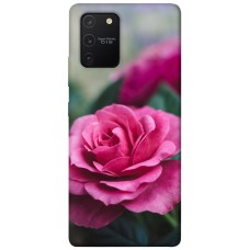 TPU чохол Demsky Роза в саду для Samsung Galaxy S10 Lite