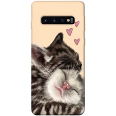 TPU чохол Demsky Cats love для Samsung Galaxy S10