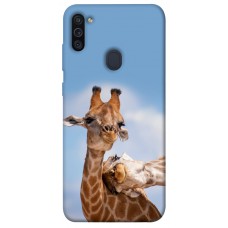 TPU чохол Demsky Милые жирафы для Samsung Galaxy M11