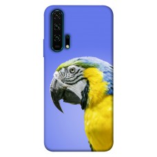 TPU чохол Demsky Попугай ара для Huawei Honor 20 Pro