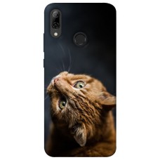 TPU чохол Demsky Рыжий кот для Huawei P Smart (2019)
