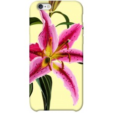 TPU чохол Demsky Lily flower для Apple iPhone 6/6s plus (5.5")