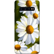 TPU чехол Demsky Ароматна ромашка для Samsung Galaxy S10+