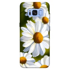 TPU чохол Demsky Ароматна ромашка для Samsung G950 Galaxy S8