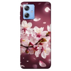 TPU чехол Demsky Sakura для Motorola Moto G84