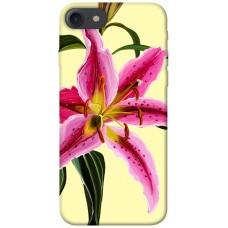 TPU чохол Demsky Lily flower для Apple iPhone 7 / 8 (4.7")