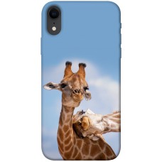TPU чохол Demsky Милые жирафы для Apple iPhone XR (6.1")