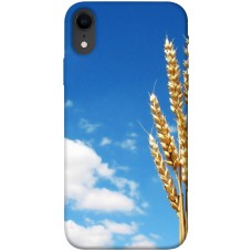 TPU чохол Demsky Пшеница для Apple iPhone XR (6.1")