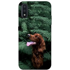 TPU чохол Demsky Собака в зелени для Samsung Galaxy A01