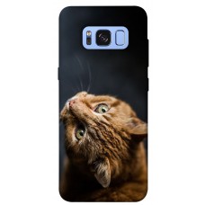 TPU чохол Demsky Рыжий кот для Samsung G950 Galaxy S8