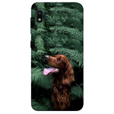 TPU чохол Demsky Собака в зелени для Samsung Galaxy A10 (A105F)
