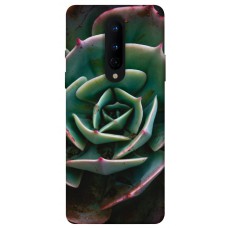 TPU чехол Demsky Эхеверия для OnePlus 8