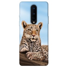 TPU чехол Demsky Proud leopard для OnePlus 8