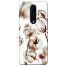 TPU чехол Demsky Бавовна для OnePlus 8