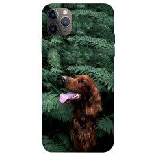 TPU чохол Demsky Собака в зелени для Apple iPhone 12 Pro (6.1")