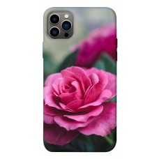 TPU чохол Demsky Роза в саду для Apple iPhone 12 Pro (6.1")