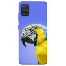 TPU чохол Demsky Попугай ара для Samsung Galaxy M51