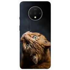 TPU чохол Demsky Рыжий кот для OnePlus 7T