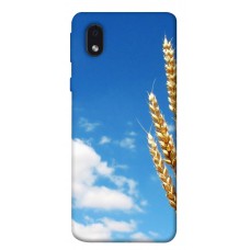 TPU чохол Demsky Пшеница для Samsung Galaxy M01 Core / A01 Core