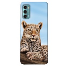 TPU чехол Demsky Proud leopard для Motorola Moto G60