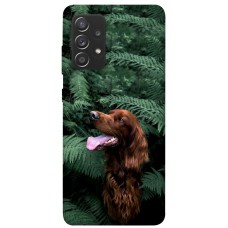 TPU чохол Demsky Собака в зелени для Samsung Galaxy A72 4G / A72 5G