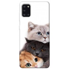 TPU чохол Demsky Три кота для Samsung Galaxy A31