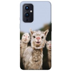 TPU чохол Demsky Funny llamas для OnePlus 9