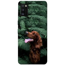 TPU чохол Demsky Собака в зелени для Samsung Galaxy A41