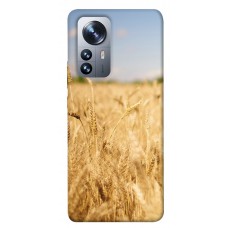 TPU чохол Demsky Поле пшеницы для Xiaomi 12 / 12X