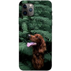 TPU чохол Demsky Собака в зелени для Apple iPhone 11 Pro Max (6.5")