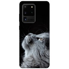 TPU чохол Demsky Cute cat для Samsung Galaxy S20 Ultra