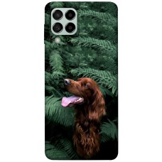 TPU чохол Demsky Собака в зелени для Samsung Galaxy M53 5G