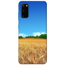 TPU чохол Demsky Пшеничное поле для Samsung Galaxy S20