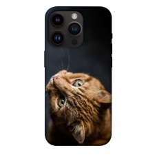 TPU чохол Demsky Рыжий кот для Apple iPhone 14 Pro (6.1")