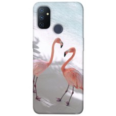 TPU чохол Demsky Flamingos для OnePlus Nord N100