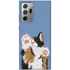 TPU чохол Demsky Funny cat для Samsung Galaxy Note 20 Ultra