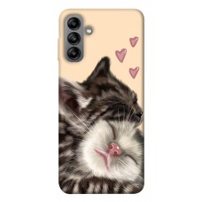 TPU чехол Demsky Cats love для Samsung Galaxy A04s