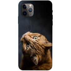 TPU чохол Demsky Рыжий кот для Apple iPhone 11 Pro (5.8")